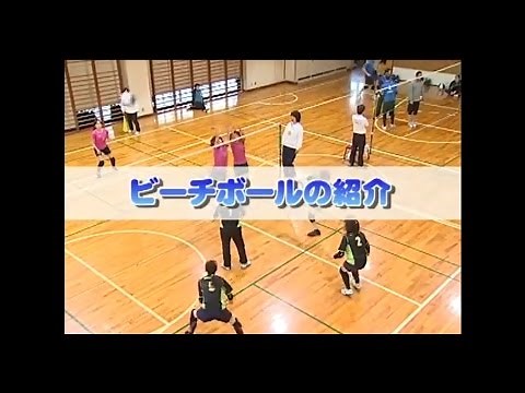 ビーチボールの紹介