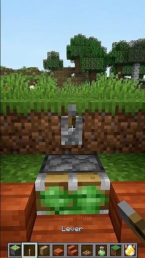 Working X-RAY Glitch 1.21!