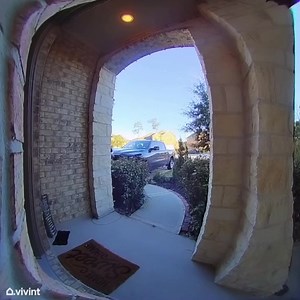 7K views · 82 reactions | We needed some mid-week energy and @depaul_norwood ﻿delivered.﻿ ✨ | Vivint | Facebook