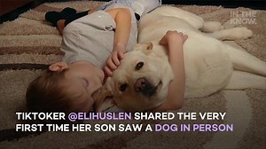 14-month-old meets dog for the first time ever: 'They both made a friend'