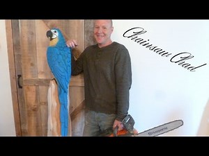 Chainsaw Carving A Parrot- Wood Sculpture!!