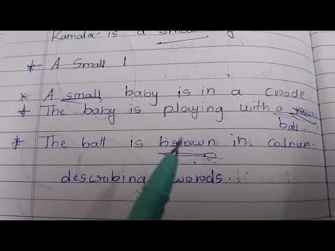 Adjective DSC SA 2 3rd class Eng textbook syllabus explained in Telugu