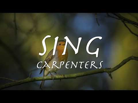 SING - Carpenters 【和訳】カーペンターズ「スｲング」1973年