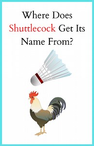 Where Does Shuttlecock Get Its Name From? - BadmintonBites