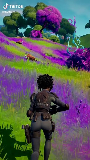 Protect Local Wildlife on the Island