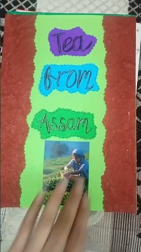 Glimpses Of India || Project Ideas #shorts