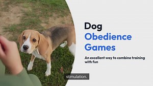 Dog Obedience Games