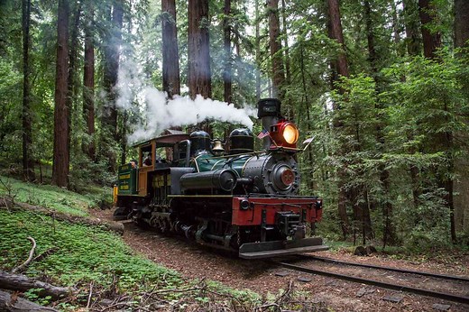 This Scenic Train Ride Winds Through California’s Majestic Redwoods and Ends at the Pacific Ocean