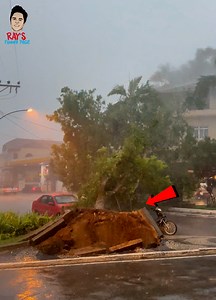 1.1M views · 5.3K reactions | Why Did The Tree Fall Over? | Ray's Funny Page | Facebook