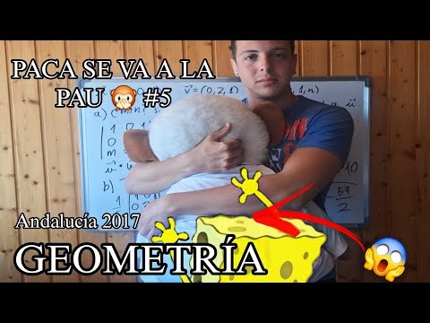 Vectores LINEALMENTE DEPENDIENTES + volumen TETRAEDRO por PARÁMETROS. GEOMETRÍA PAU/EBAU 📦😪