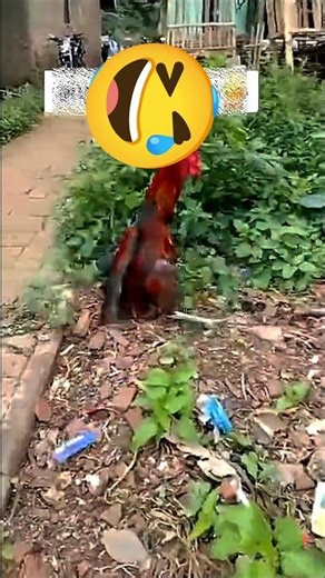 "Unlocking Morgi's Fanny Voice: The Secret Behind the Internet's Favorite Character!"