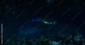cave diving underwater scuba divers exploring cave dive with torch light in cavern ocean scenery
