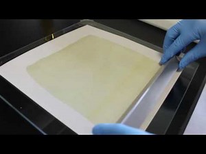 The phase inversion membrane preparation