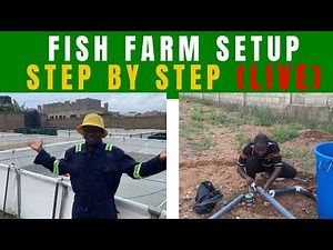 From Empty Land to Fish Farm: Full Setup Process (LIVE)