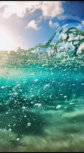 The Ocean Dude on TikTok