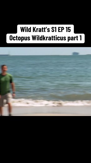 Octopus Adventure with Wild Kratts: Part 2