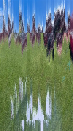 1K views · 24 reactions | El “Yo-Yo test” es una prueba de campo para...