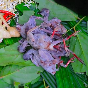 121K views · 1.4K reactions | Wild Pigeon with Rice Soup in forest  | Wilderness Food | Facebook