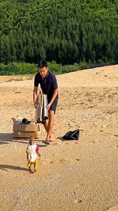 155K views · 4.6K reactions | Bibi helps Dad set up a camping tent at the beautiful beach! #monkeybibi #bibi #funny #cute #monkey #babymonkey #smartmonkey | Bibi's Video | Facebook