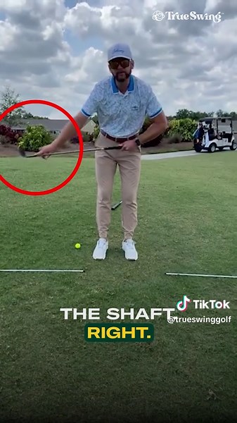 True Swing on TikTok