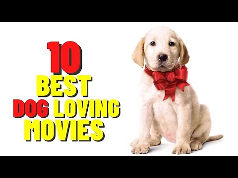 Top 10 Best Dog Loving Movies