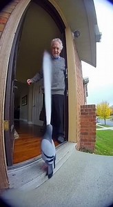 просто голубь #ai #aivideo #aimbotfreefire