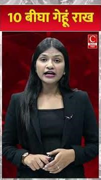 10 बीघा गेहूं राख