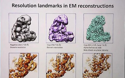 冷冻电镜密度图建模-Modelling in cryo EM maps