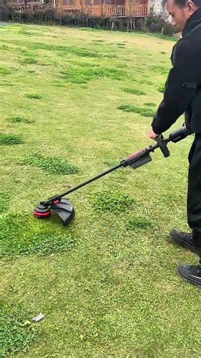 Efficient Lawn Maintenance Using a High-Powered Electric String Trimmer