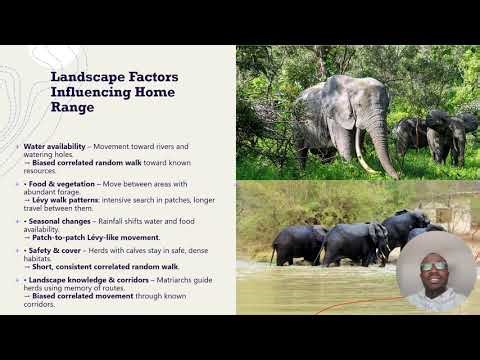 Understanding Individual Animal Movement African Savanna Elephant