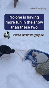 65K views · 1K reactions | Here's your daily dose of wholesome, from viewer Timothy. ⁠ ⁠ His dog, Junior, taught himself how to pull kiddo Oliver around the snowfall in Montclair, Virginia. We're pretty sure this trio is winning the snowstorm so far.⁠ ⁠ Thanks for sharing this smile, Timothy!⁠ ⁠ #snow #wholesome #snowstorm #winter #winterweather #smile #happy #dogs #kids #sledding #virginia #va #dmv #dc #washingtondc #maryland #md | NBC Washington | Facebook
