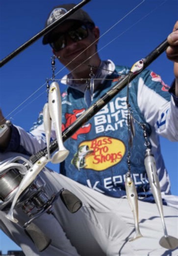 You may be good at fishing an A-Rig, but I’ll be you don’t do much “setting up in situation where the bass is facing at you and bringing it from behind it and dropping it into the plane of their awareness once the front of it is past their face...essentially dropping it on their head” like Drew Gill does! 😅 #Bass #fishing #bassfishing #fyp #fishtok