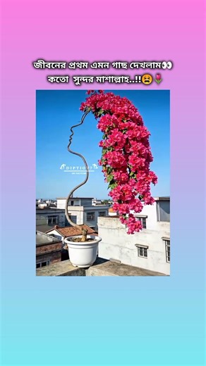 জীবনের প্রথম 🙃এতো সুন্দর 😍গাছ দেখলাম মাশাল্লাহ কতো 🥲🐸💔🤣#viralvideo #trending #shorts #funny