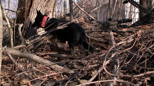 Genealogy traces Fox Hollow victim to Fort Wayne furniture store owner