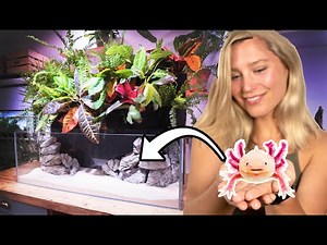 Huge Plant Wall AXOLOTL Tank Tutorial
