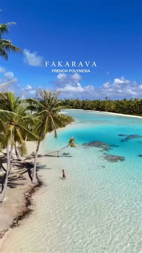 The crystal clear lagoon and incredible wildlife of Fakarava! 😍 Would you go diving here? 🤿 📹 @saltyluxe | Diving Adelaide & Online Dive Gear