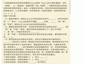 喷瓜-----易位、减数分裂异常、重复三种情况形成BBb