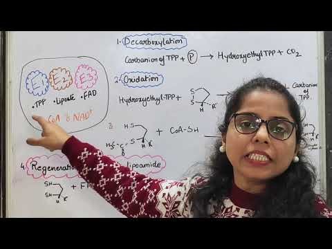 Oxidative Decarboxylation of Pyruvate | Pyruvate dehydrogenase complex | #neet # netjrf #biochem
