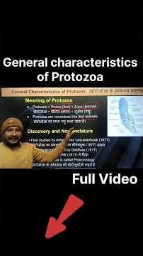 General Characteristics of Protozoa – NEET + BSc Quick Guide
