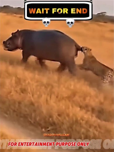 Repeat it again 💀 #trollface #edit