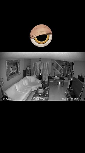 #phenomenon #phenomena #unexplained #paranormal #orb #orbs