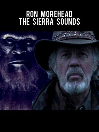 Sierra Sounds: Bigfoot Vocalizations Captured in 1971