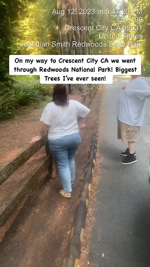 On my way to Crescent City CA we went through Redwoods National Park! Biggest Trees I’ve ever seen! | Angelo Tsarouchas