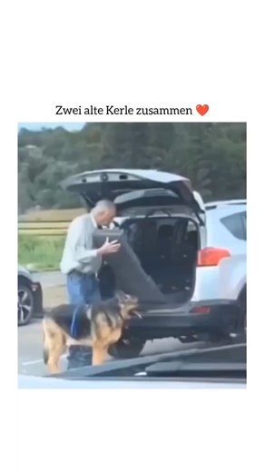realistic humour on Instagram: "Dieses Video ist eine herzerwärmende Szene, die die tiefe Bindung zwischen einem älteren Mann und seinem betagten Deutschen Schäferhund zeigt. Zusammenfassung des Videos Das Video fängt einen liebevollen Moment ein, in dem der Mann eine klappbare Rampe am Heck seines SUVs aufstellt. Er führt seinen Hund geduldig die Rampe hinauf in den Kofferraum, damit der Hund nicht springen muss – was für ältere Tiere oft schwierig und schmerzhaft sein kann. Sobald der Hund sic