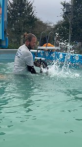 10K views · 215 reactions | We’re so proud of Doberman Reeba, she’s come a long way with her swimming  | Canine Dip and Dive Maldon | Facebook