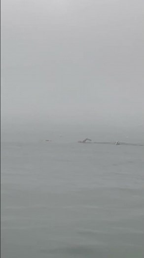 [10초의 여유] 새벽 바다수영 하는 사람들, 아무도 없을 때 홀로 바다로 들어가니 사람들이 하나둘 늘어갔다.