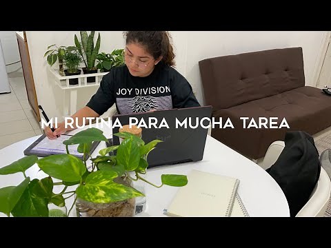 Qué hago cuando tengo mucha tarea + regreso a la Universidad después de 2 años (laboratorio)