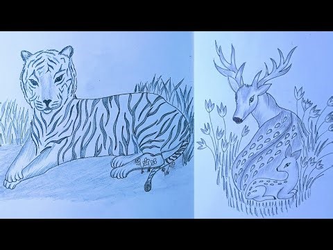 How to draw a Royal Bengal Tiger and how to draw Deer with baby || Pencil sketch