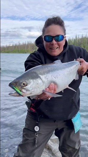 Best Kept Secret to The Sockeye Salmon Bite