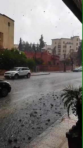 Urban Rainstorm: A Scenic Street View in Motion